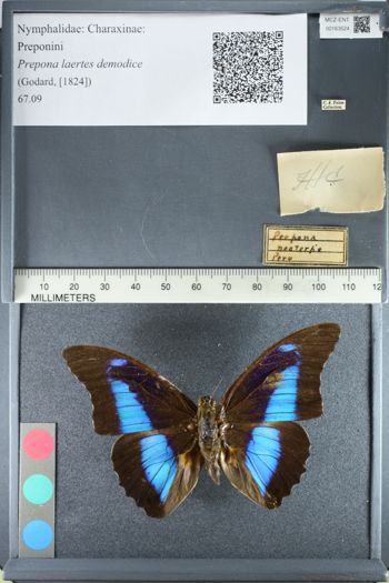 Media type: image;   Entomology 163524